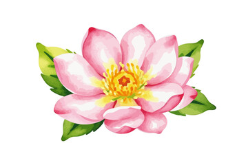 Watercolor Pink Lotus Flower Illustration - Delicate Floral Art with Green Leaves - Botanical Design for Print and Web Projects