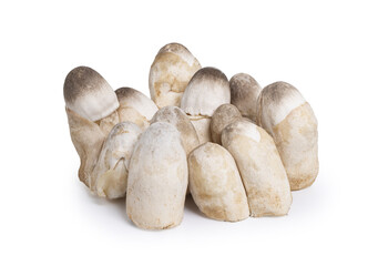 Straw mushroom isolated on white background with clipping path, Volvariella volvacea (Bulliard ex Fries).