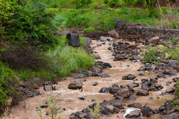  muddy stream winds through the dense forest of the Alborz mountains, its opaque waters flowing...