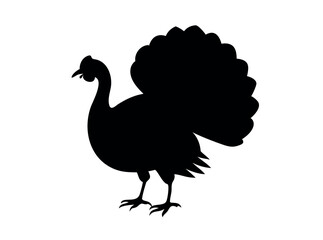 Silhouette of a Turkey, A bold, solid black silhouette of a turkey, perfect for Thanksgiving or general wildlife imagery. turkey, silhouette, bird, thanksgiving, farm animal, poultry, black and white,