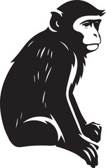 Monkey profile view black silhouette, Side view monkey in calm pose