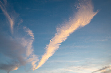 Nice example of a feather cloud, cirrus fibratus
