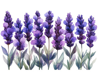 bouquet of spring flowers