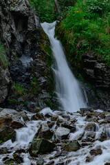Fototapeta premium waterfall in the forest