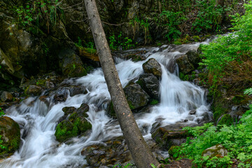 small waterfall in the forest