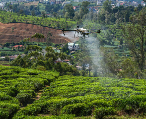 Flying industrial drone over a tea plantation in Nuwara Eliya, Sri Lanka, Asia. Image of an agricultural drone carrying a tank of liquid fertilizer.