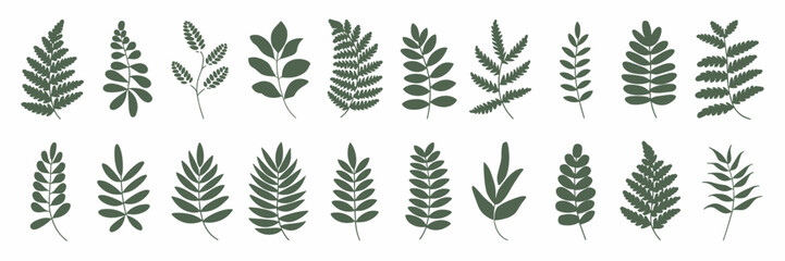 Grid of fern leaf icons – Vector illustration on white background