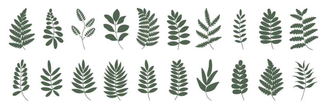 Grid of fern leaf icons &ndash; Vector illustration on white background