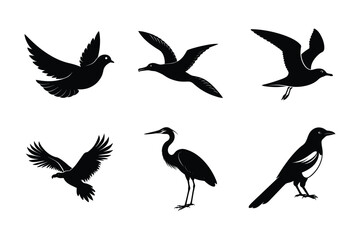 Obraz premium Bird Silhouettes Collection