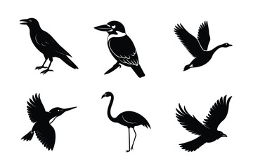 Obraz premium Bird Silhouettes Collection