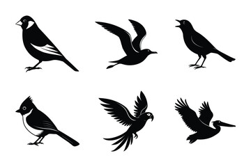 Fototapeta premium Bird Silhouettes Collection