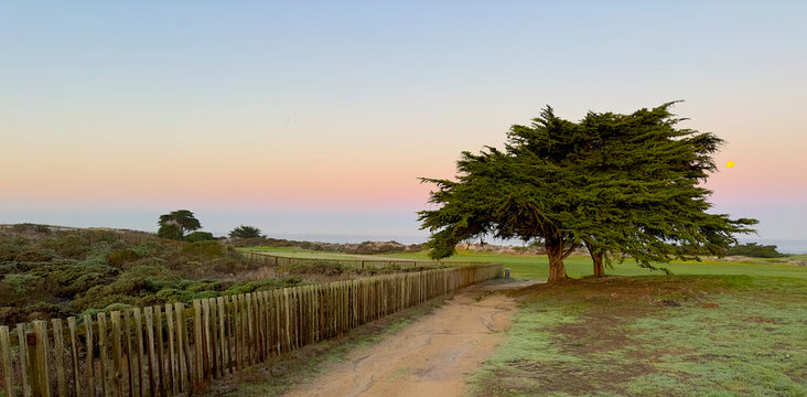 Lighthouse Trail at Twilight with Full Moon and Cypress Tree, Pacific Grove Golf Links on the Right, Monterey Bay, California. Point Pinos Lighthouse. 