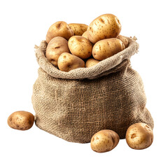 Fresh harvested potatoes in a burlap isolated on a transparent background.