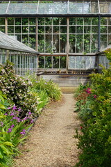 greenhouse, glasshouse, cambridge botanic garden, nature, succulent, flower, tropical plant, patterns, abstract, uk, may 2025
