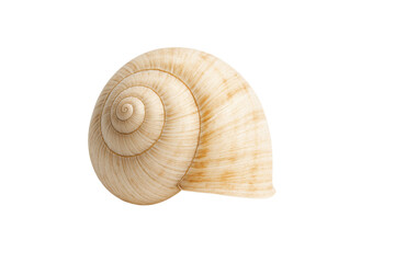 Elegant Seashell: The delicate spiral of a pristine seashell, its textured surface and subtle hues evoke the serenity of the ocean depths, isolated on transparent or white background, png. 
