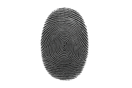 Fingerprint of Identity: A detailed close-up showcases the unique patterns of a human fingerprint, representing identity, security, isolated on transparent or white background, png. 
