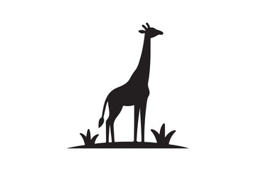 Fototapeta premium Giraffe icon silhouette illustration with white background.
