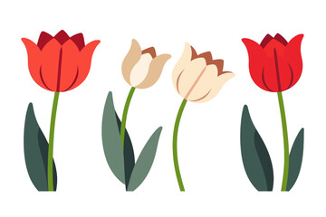 Vector Illustration of Red and Cream Tulips - Spring Flower Arrangement - Floral Graphic Design Element - Perfect for Greetings and Invitations - Botanical Art Print_