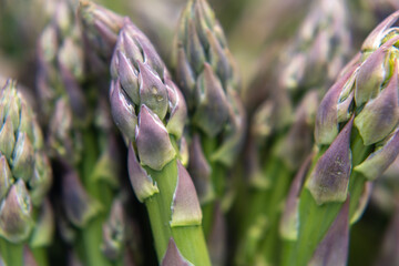 fresh asparagus on a market
