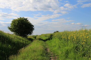 A sign in a field