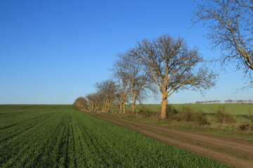 A sign on a grassy hill