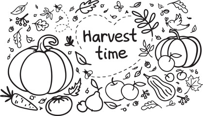 Black and white vector illustration of a fall harvest set. Hand-drawn seasonal composition perfect for  Harvest festival, Thanksgiving, autumn decor