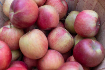 Jonagold apples on a market