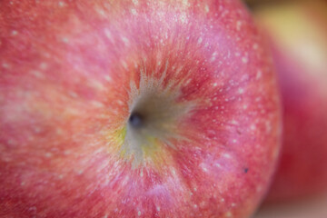 Close-up of a ripe Jonagold apple
