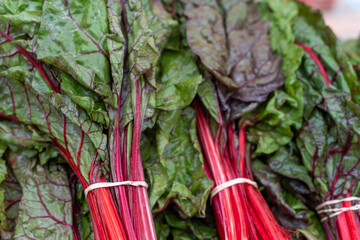 Beet leaves, also known as beet greens, the leafy tops of the beetroot plant.