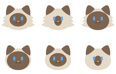Vector Cat Icon with different pattern and color