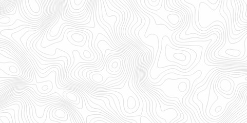 Fototapeta premium Topographic map lines contour background. Grid geographic relief topographic map pattern background vector. Vector seamless background topography stylized height of the lines map.