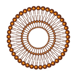 Phytosomal Lipid Complex Architecture
