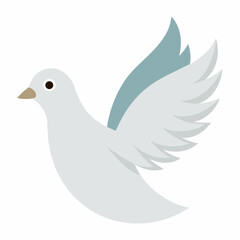 Obraz premium white dove on white background