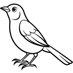 Chirp bird sound inspired word art in sketch form Line Art Vector illustration