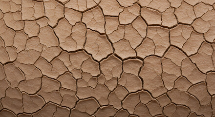 The land becomes dry, cracked and barren due to global warming.