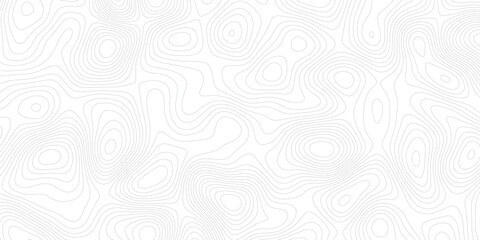 abstract White wave paper curved reliefs abstract background topographic line contour map background, geographic grid map modern design white background