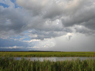 The natural beauty of the wetlands, within the Bombay Hook National Wildlife Refuge, Kent County,...