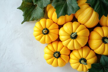 A group of bright yellow squash on the vine isolated against a white background