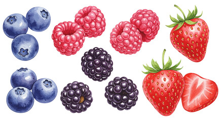 A Vibrant Watercolor Vector Illustration Of Assorted Berries Including Blueberries Raspberries Strawberries And Blackberries On A Clean White Background