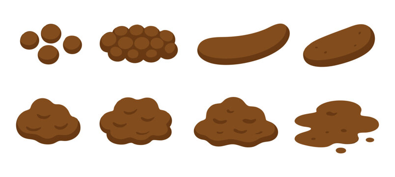 Bristol stool chart infographic illustrating different types of human fecal matter, medical, health concept for gastroenterology, digestive health education, isolated on white background, poop, feces