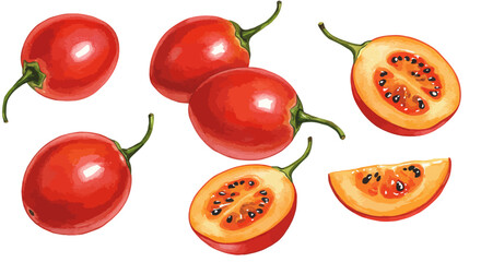 Watercolor Illustration Showcases Vibrant Tamarillo Fruits Whole And Halved Displaying Their Deep Red Skin And Orange Pulp With Dark Seeds On White Backdrop