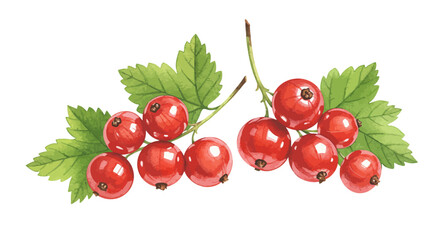 Watercolor Image Showcases A Vibrant Cluster Of Red Currants With Green Leaves Creating A Fresh And Natural Aesthetic With A Hand Painted Illustration Style