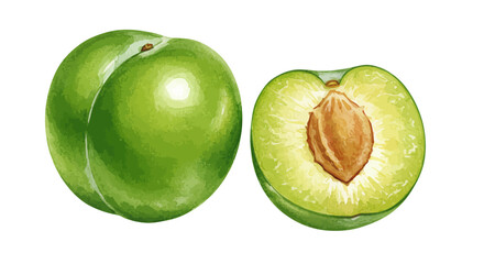 Vibrant Watercolor Painting Presents A Whole Green Plum And A Halved Plum Revealing Its Inner Flesh And Seed Showcasing A Realistic And Fresh Depiction