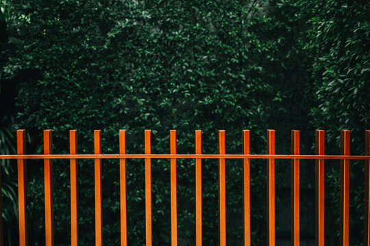 Elegant Vertical Wooden Fence with Natural Green Background in Tranquil Outdoor Setting for Modern Landscaping - Powered by Adobe