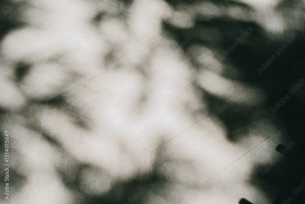 Poster background concept. abstract shadows on concrete surface with soft focus and natural light effects f