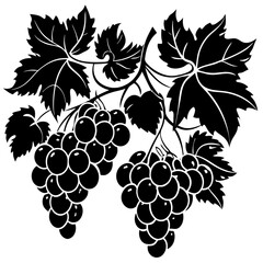 Obraz premium Black and White Grape Vine Design: Elegant Botanical Art