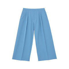 Light blue wide-leg pants with a sleek and modern design, perfect for a stylish and comfortable look. Ideal for everyday wear.