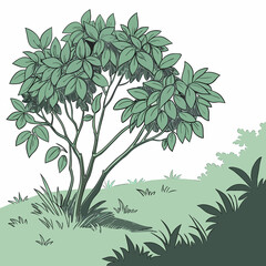  illustration of a tree