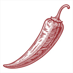Graphic Illustration of an Abstract Hand-Drawn Pepper Flat Icon