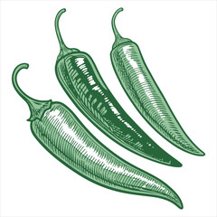 Graphic artwork of green peppers on a white backdrop